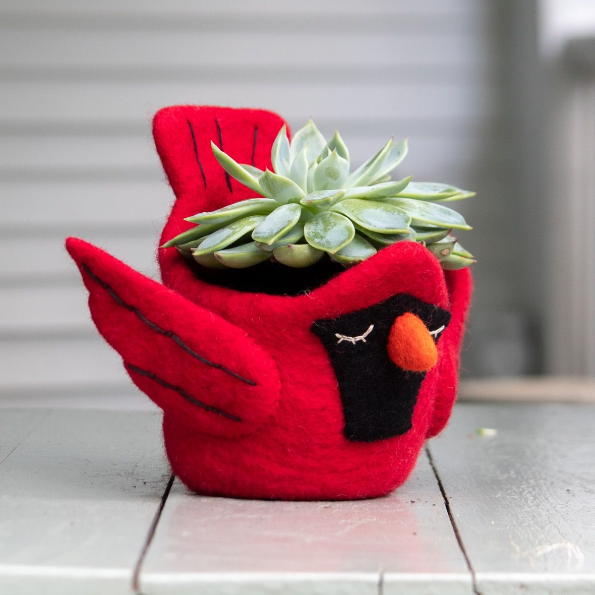 Cardinal Felt Pot