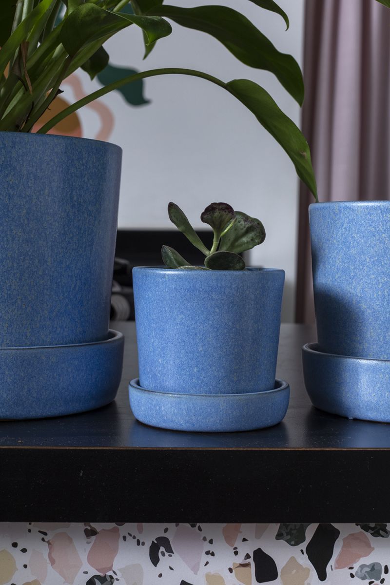 Blue Watson Pot with Saucer