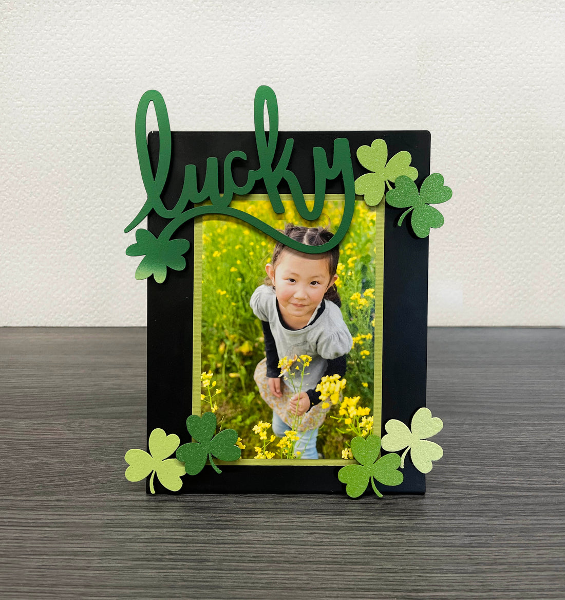 Kleeblatt-Magnete S/6