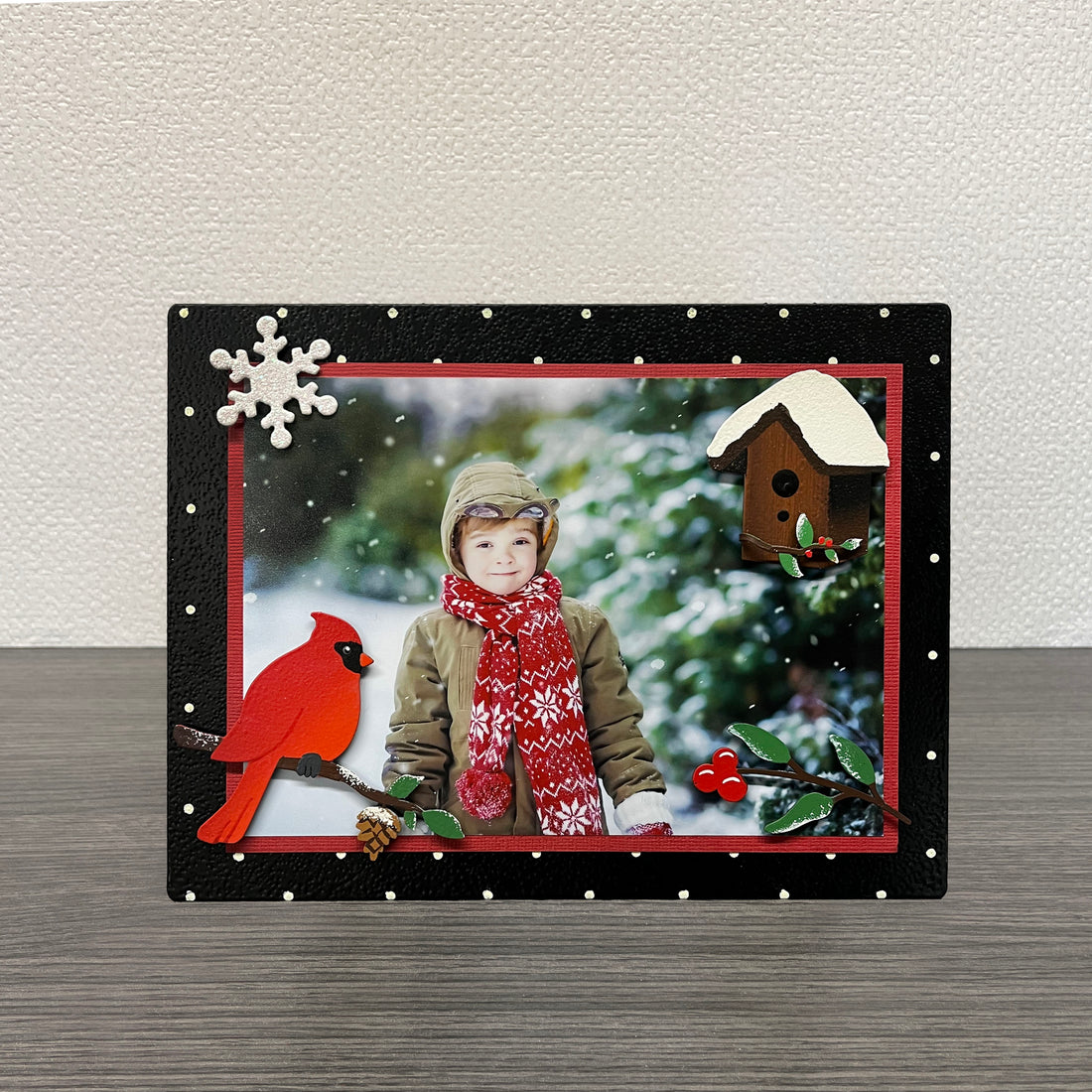 Winter-Vogelhaus-Magnete S/3