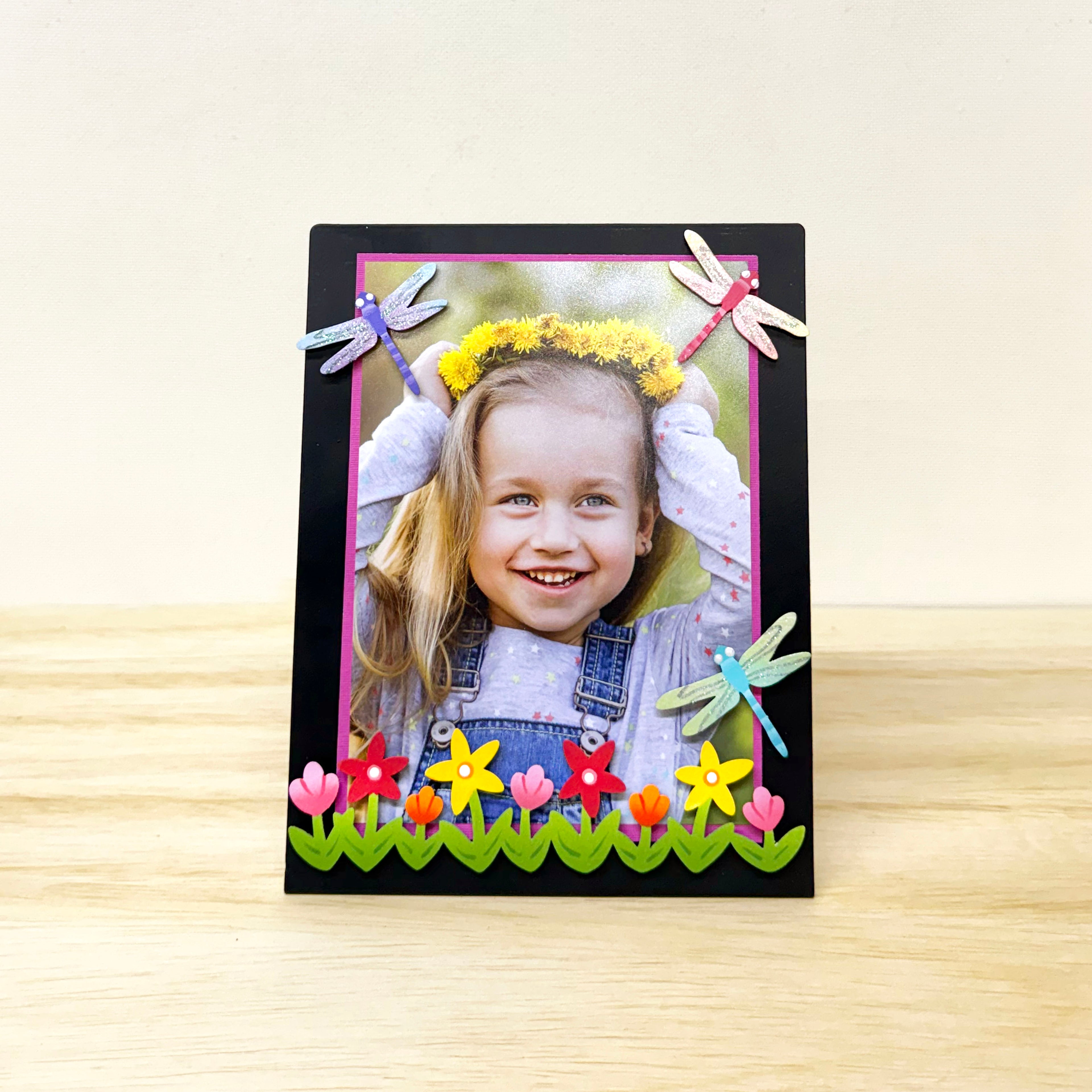 Dragonfly Magnets S/3