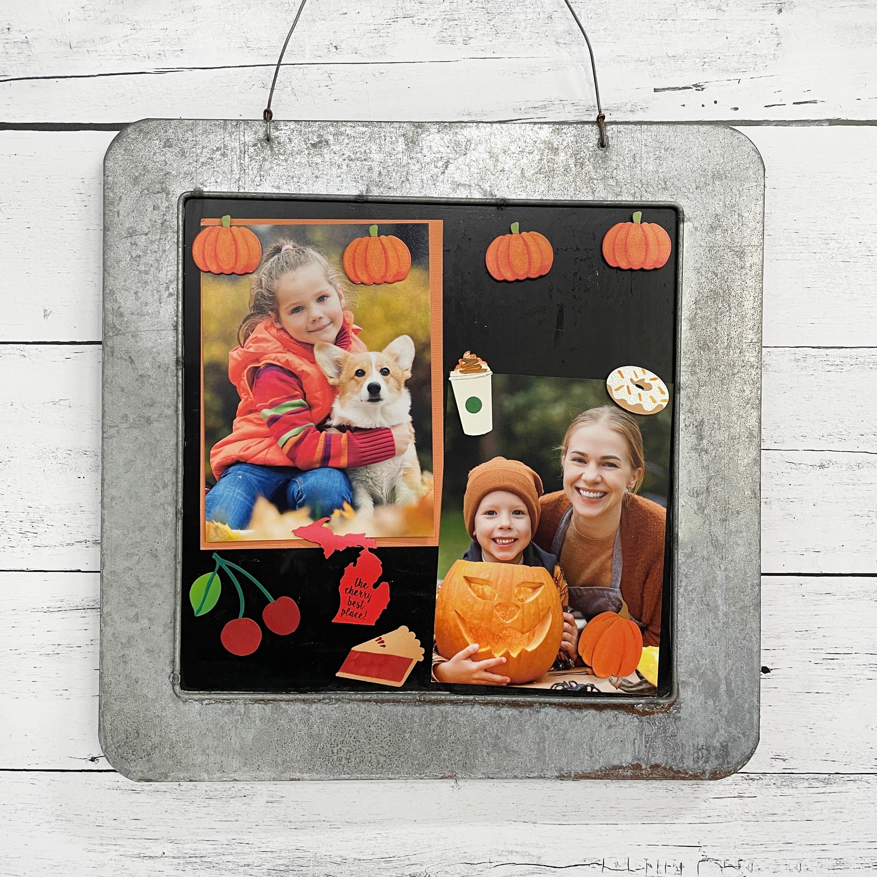 Pumpkin Magnets S/4