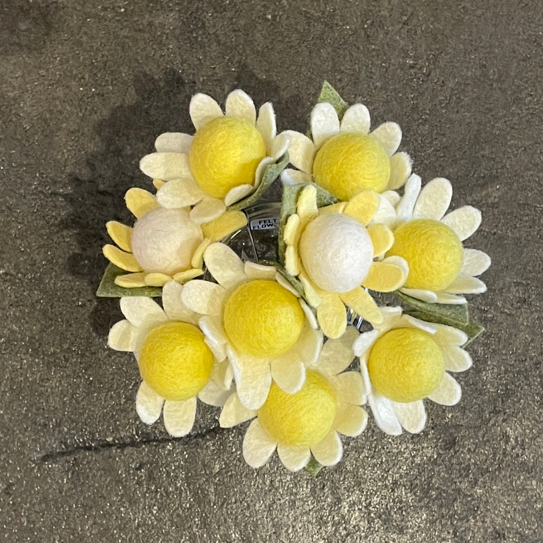 Filzgänseblümchen - Klein