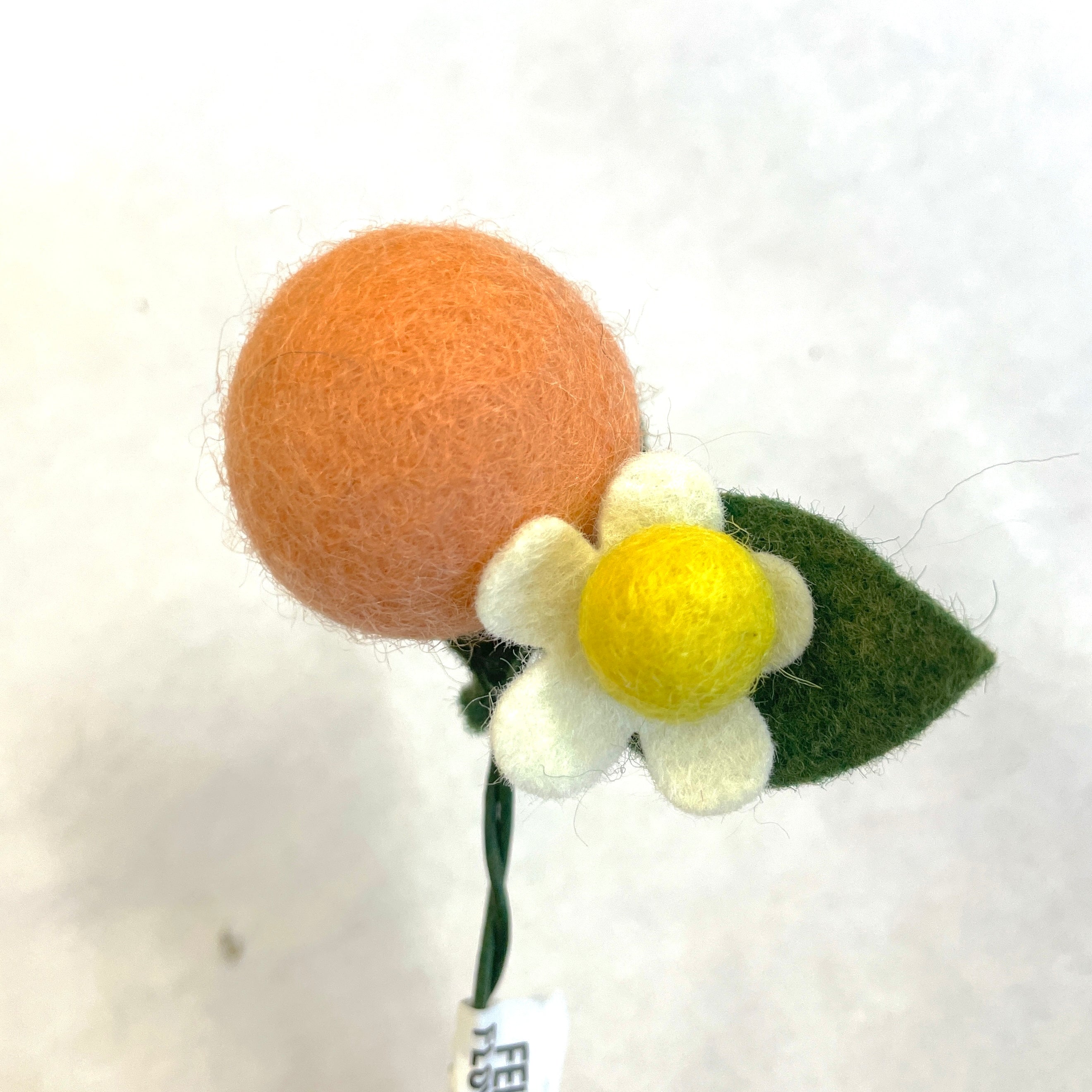 Felt Orange Blossom