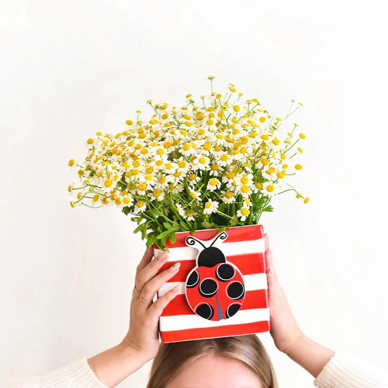 Red Stripe Mini Nesting Cube Medium