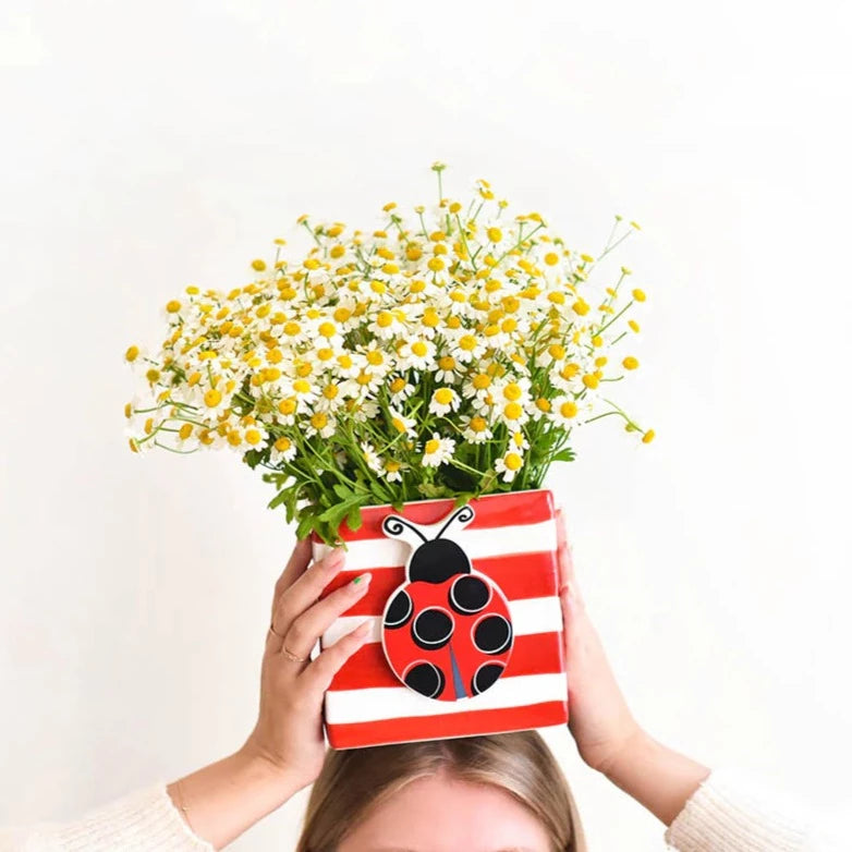 Ladybug Mini Happy Everything Attachment