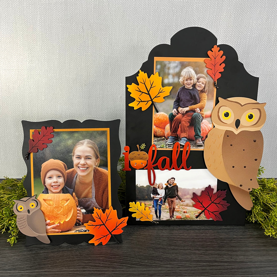 Eule Magnetischer Art Pop