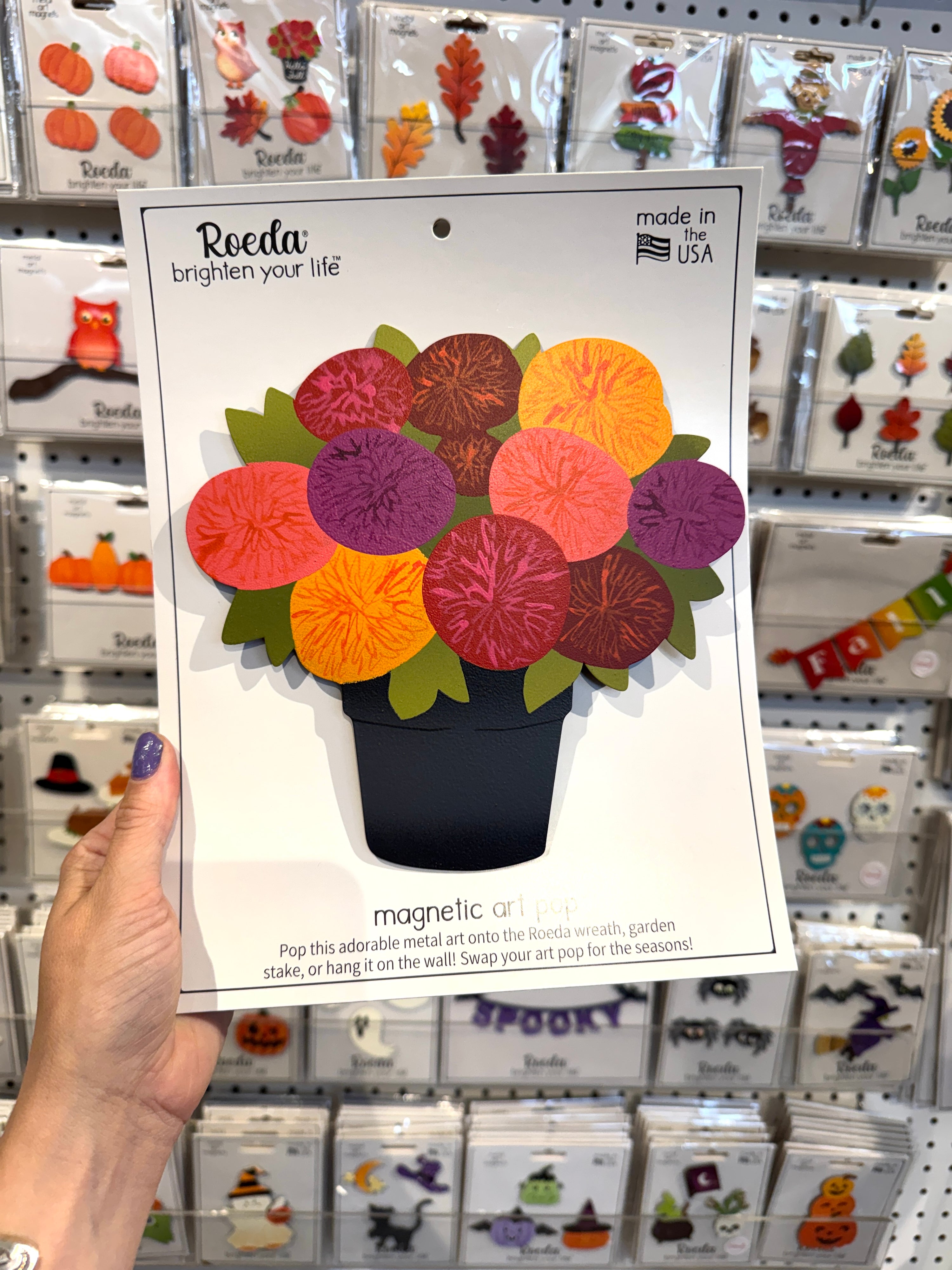 Topf-Chrysantheme Art Pop