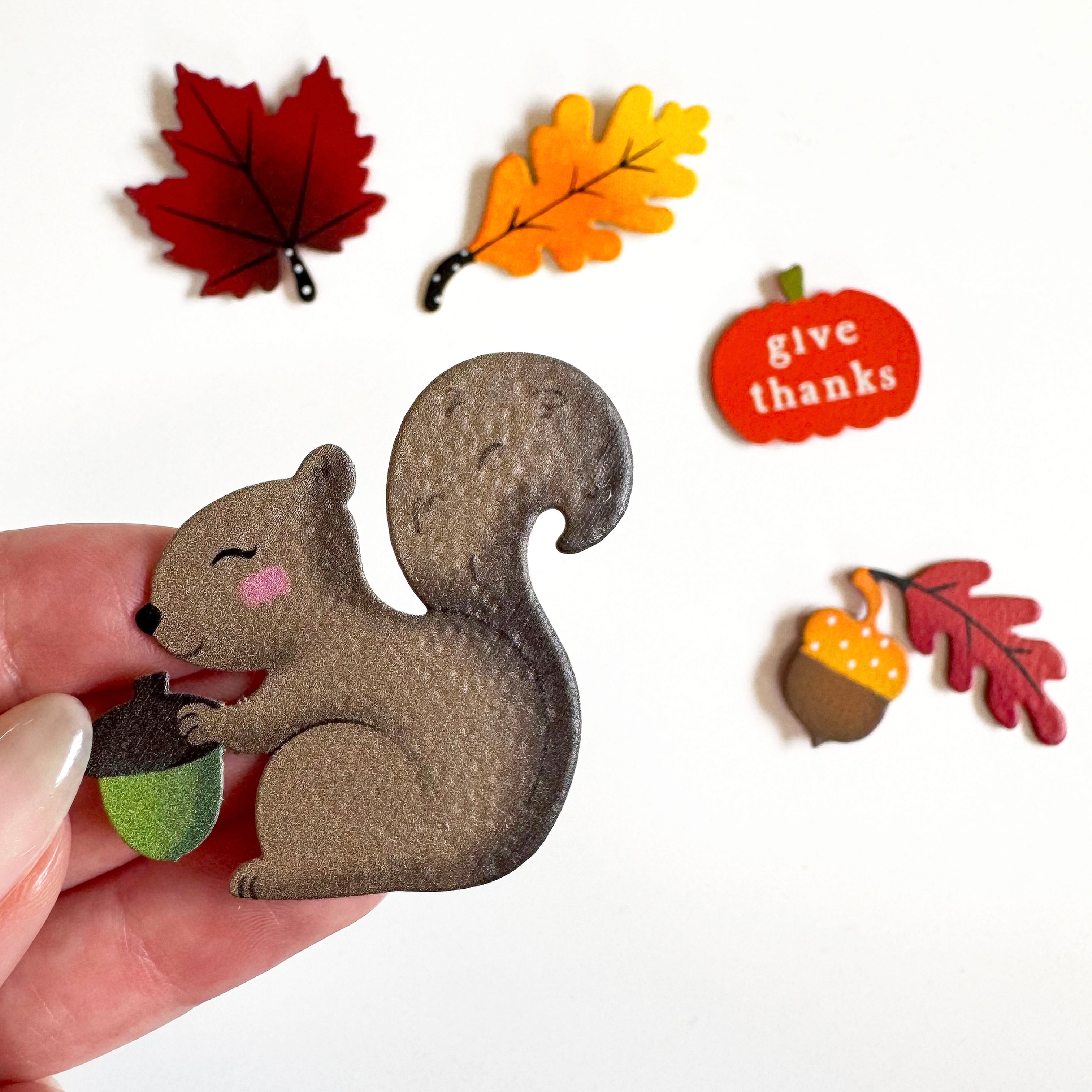 Eichhörnchen-Magnet