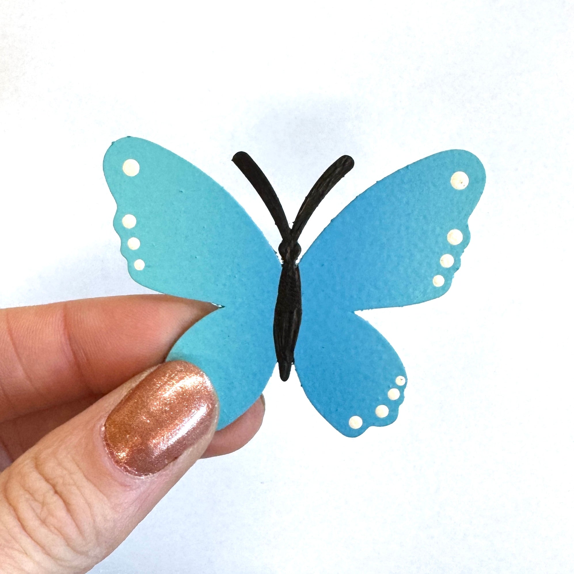 Butterfly Magnet, Single