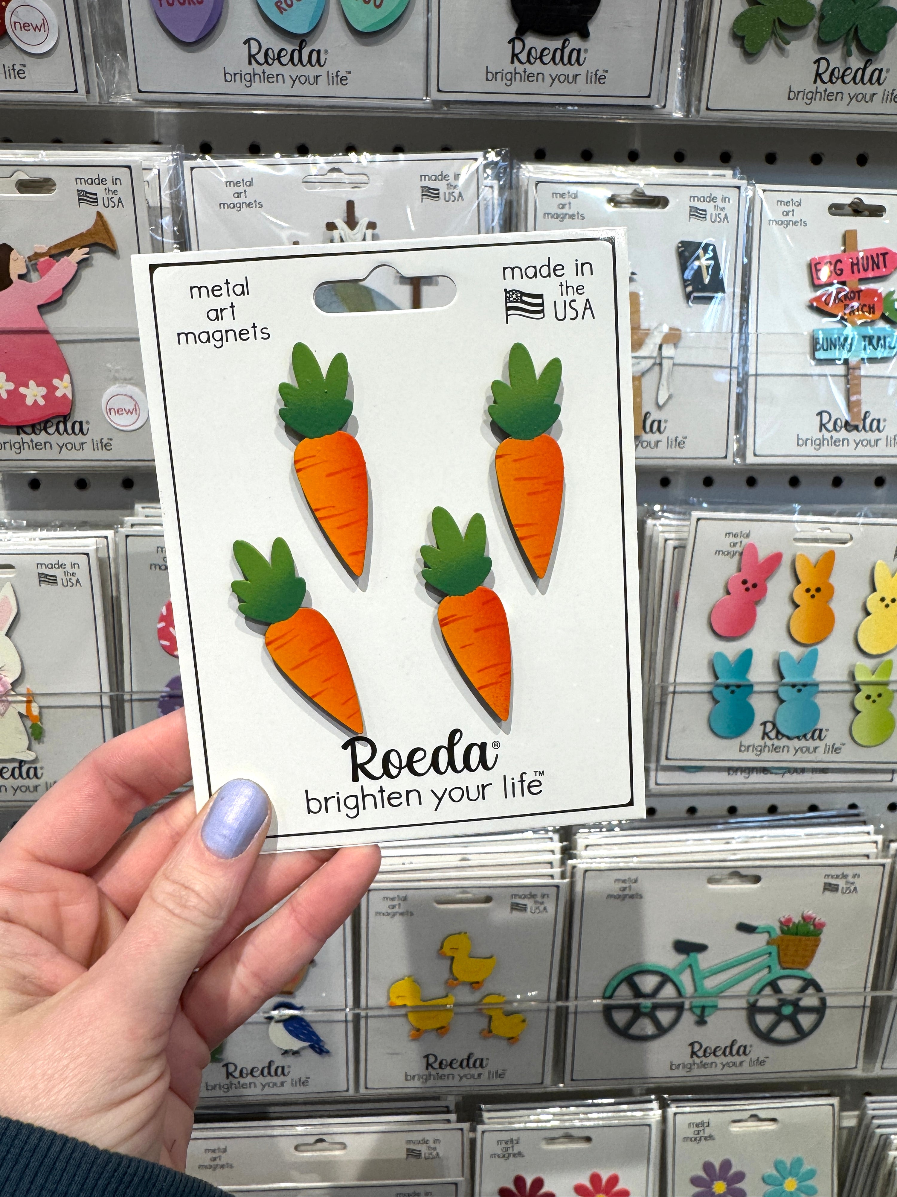 Carrot Magnets S/4
