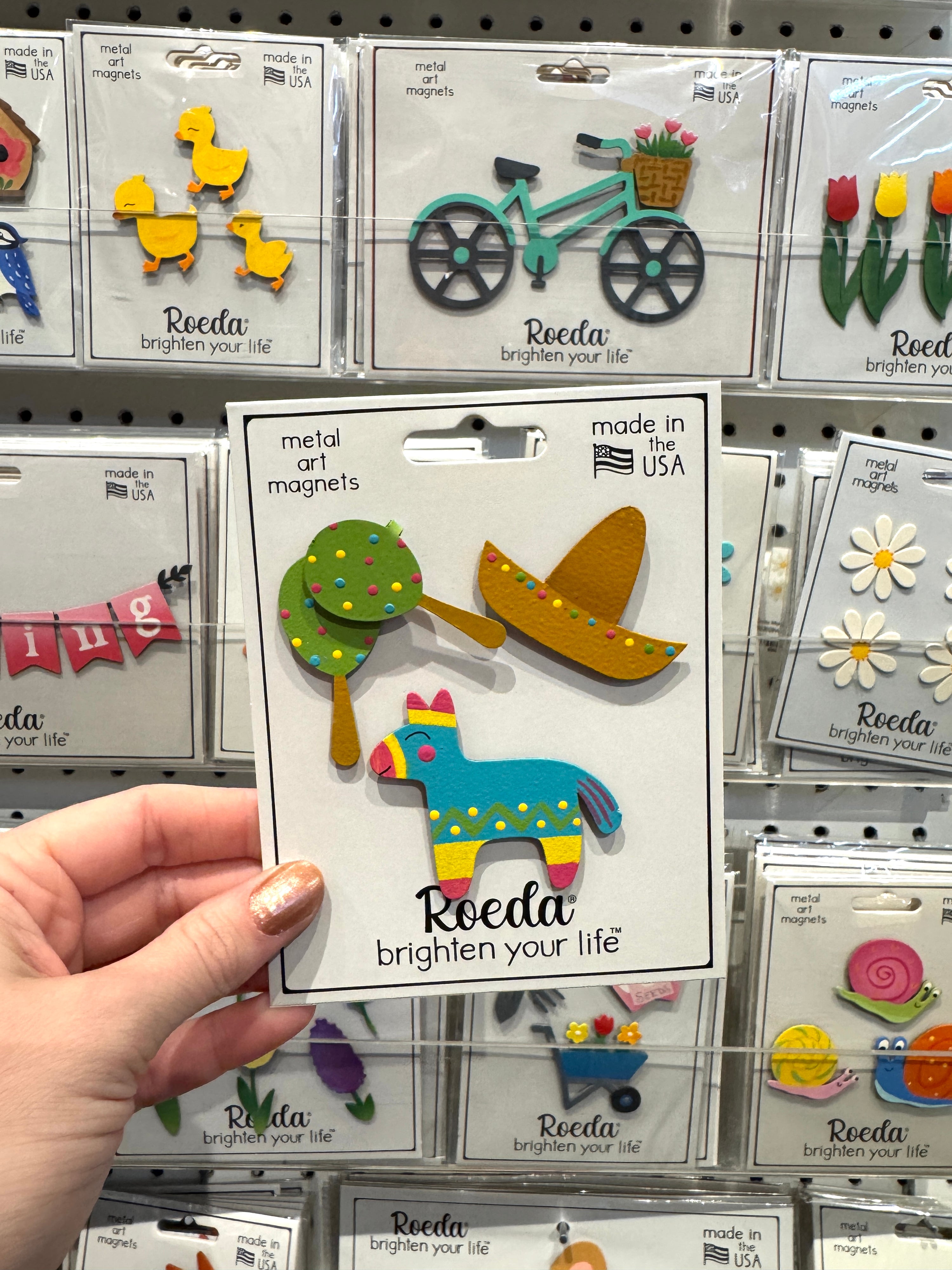 Cinco de Mayo Magnets S/3
