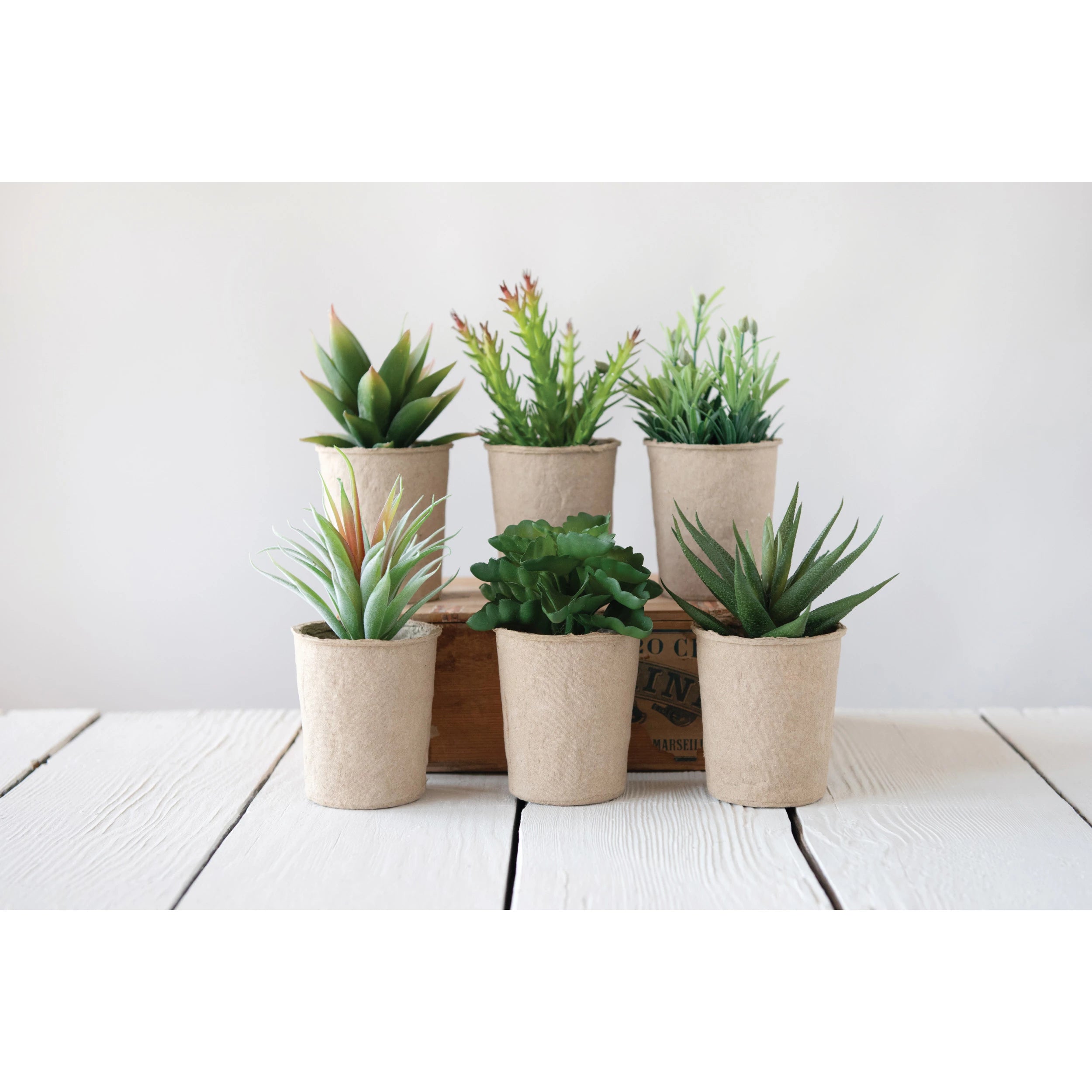 Faux Succulent in Paper Pot