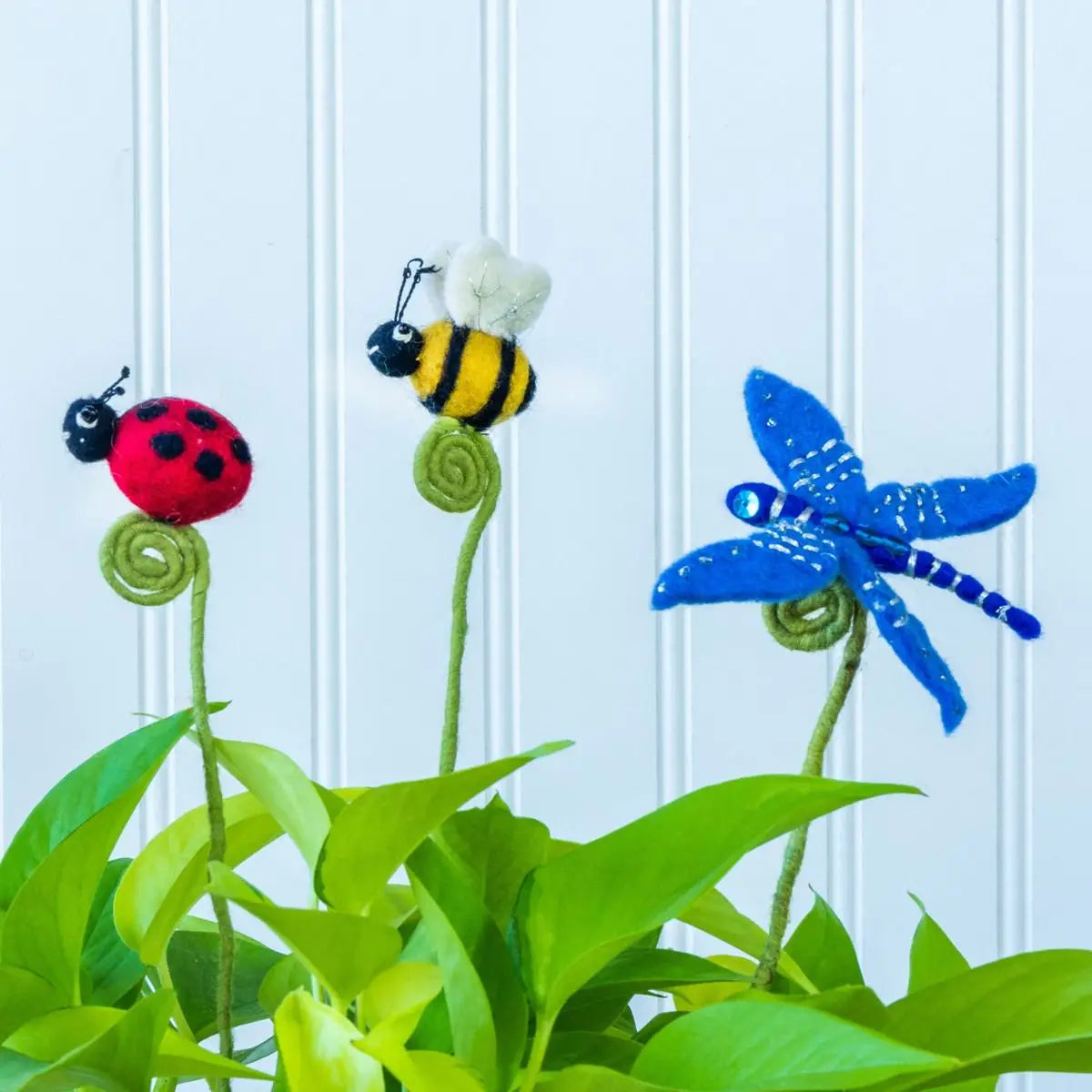 Schmetterlingsblütenornament