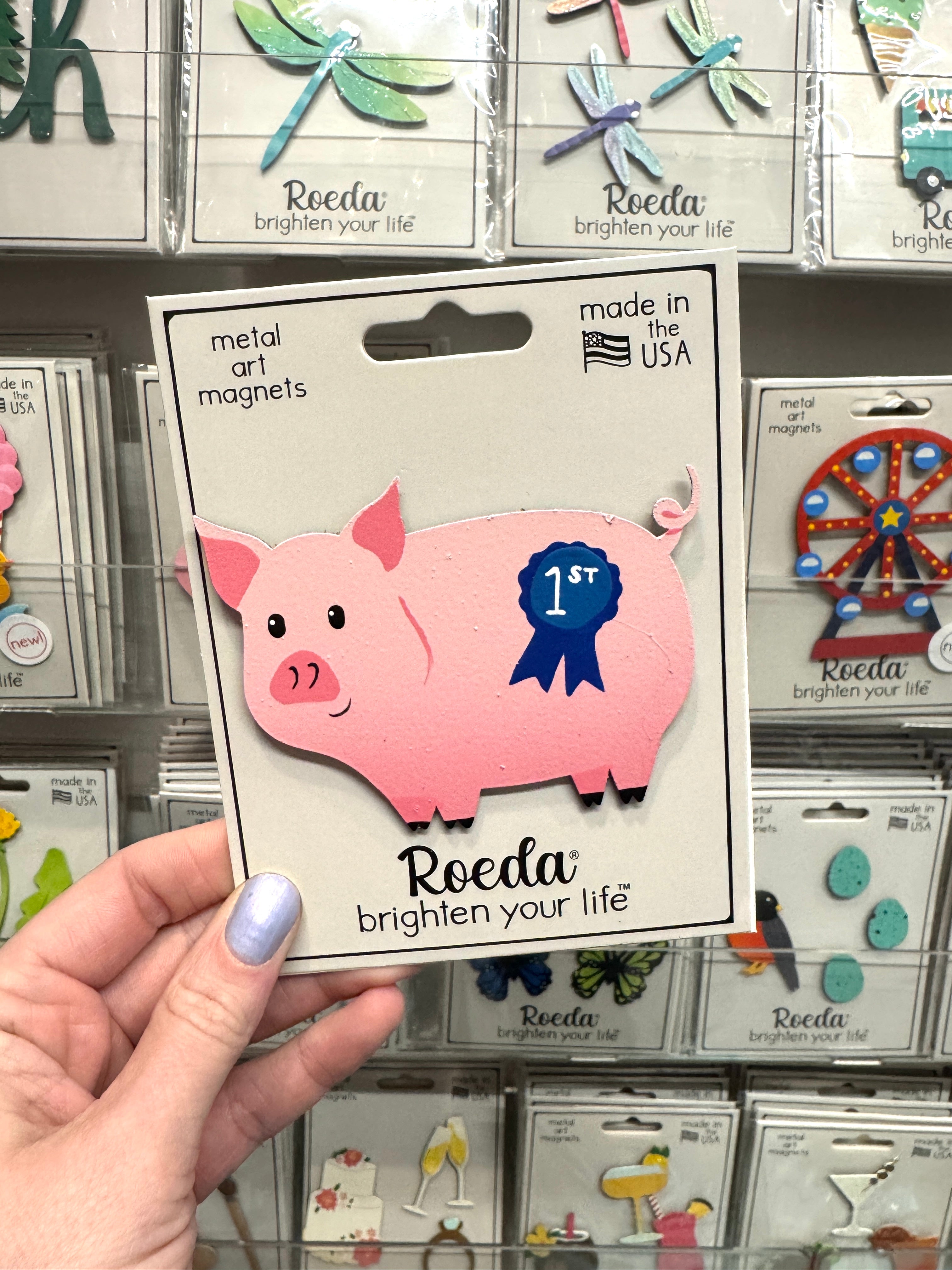Blue Ribbon Pig Magnet