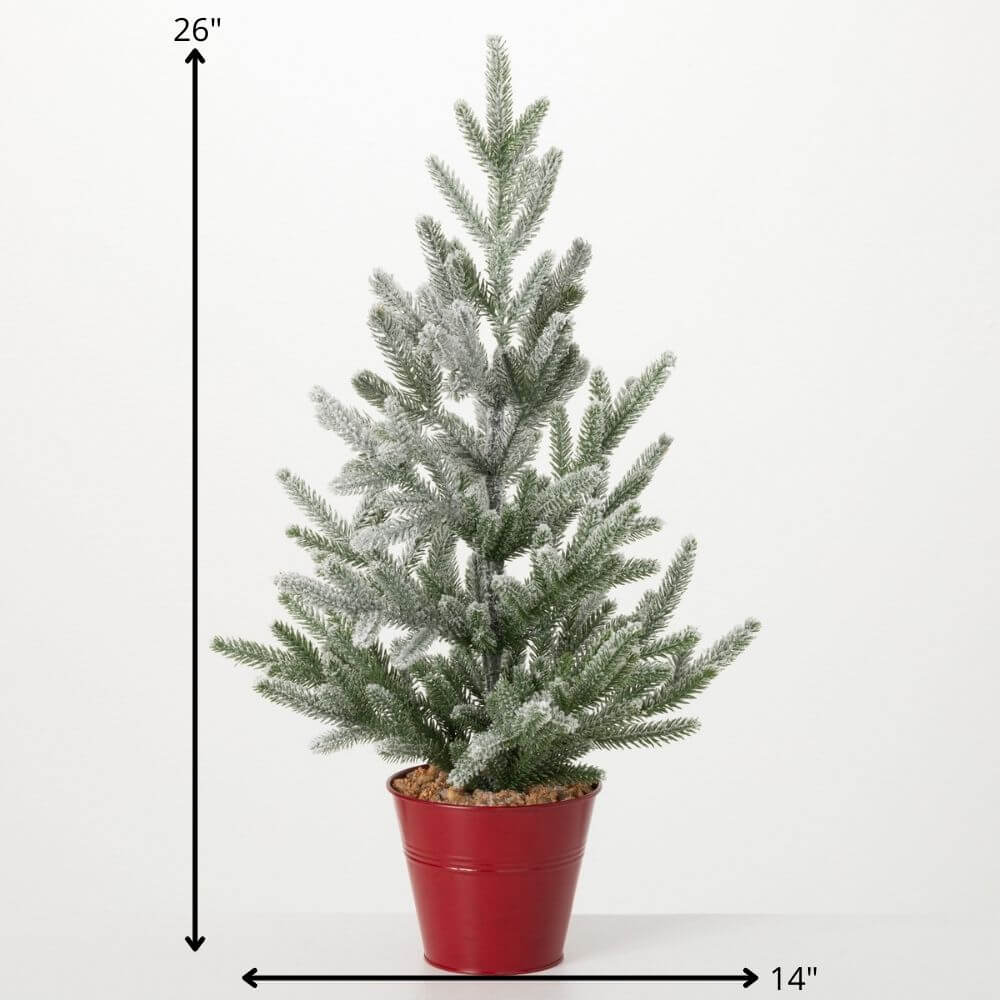 Immergrüner Kiefernbaum im Topf, 66 cm