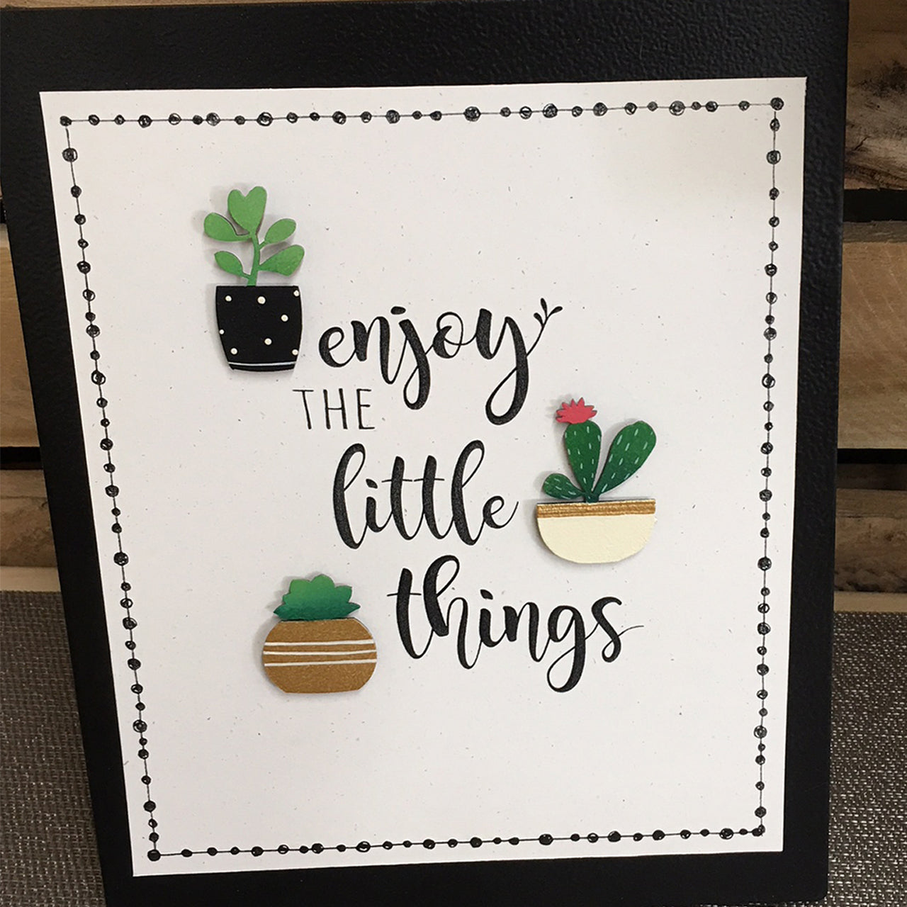 Succulent Magnets