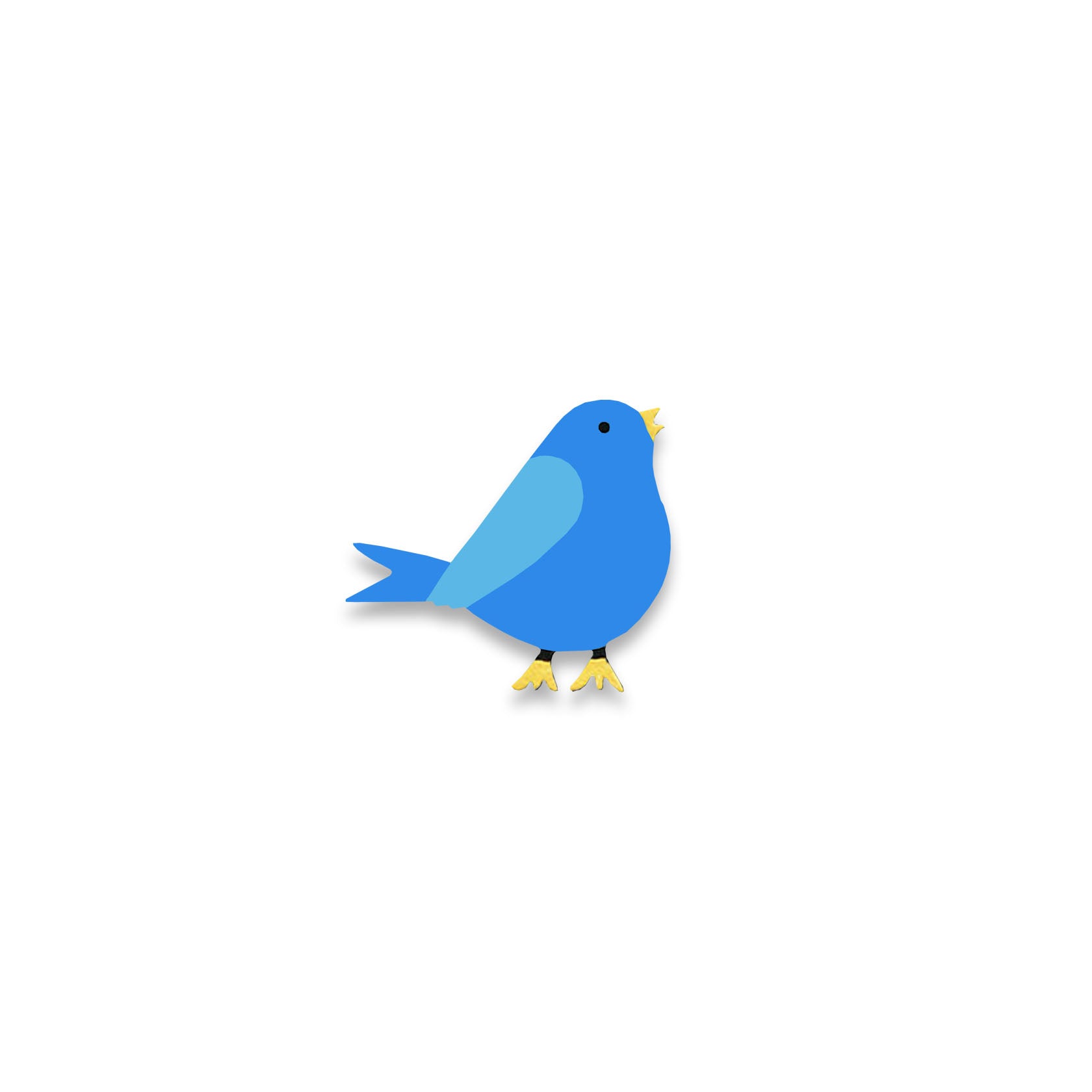 Bird Magnet