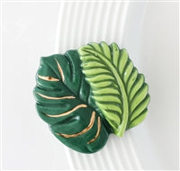 Die besten Farne für immer