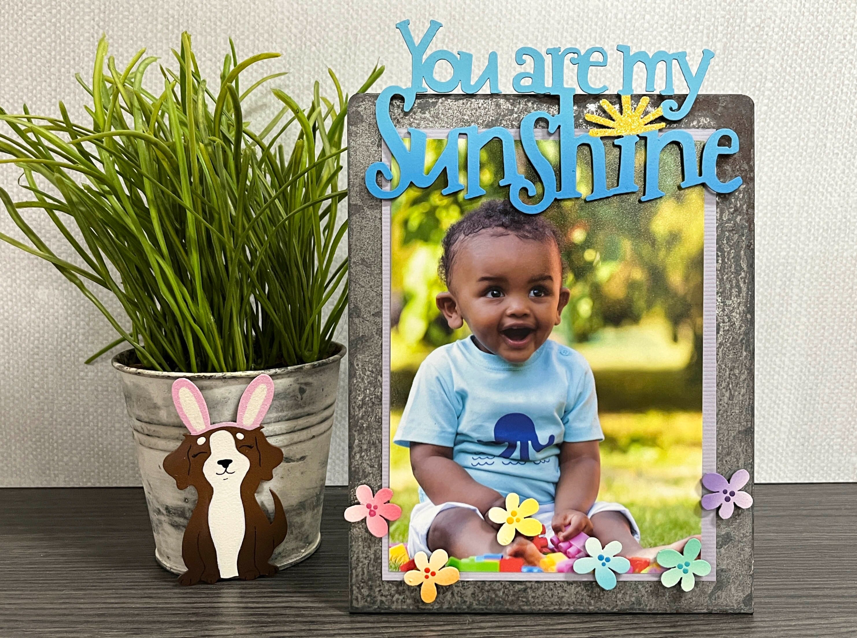 Pastellfarbene Blumenmagnete S/6