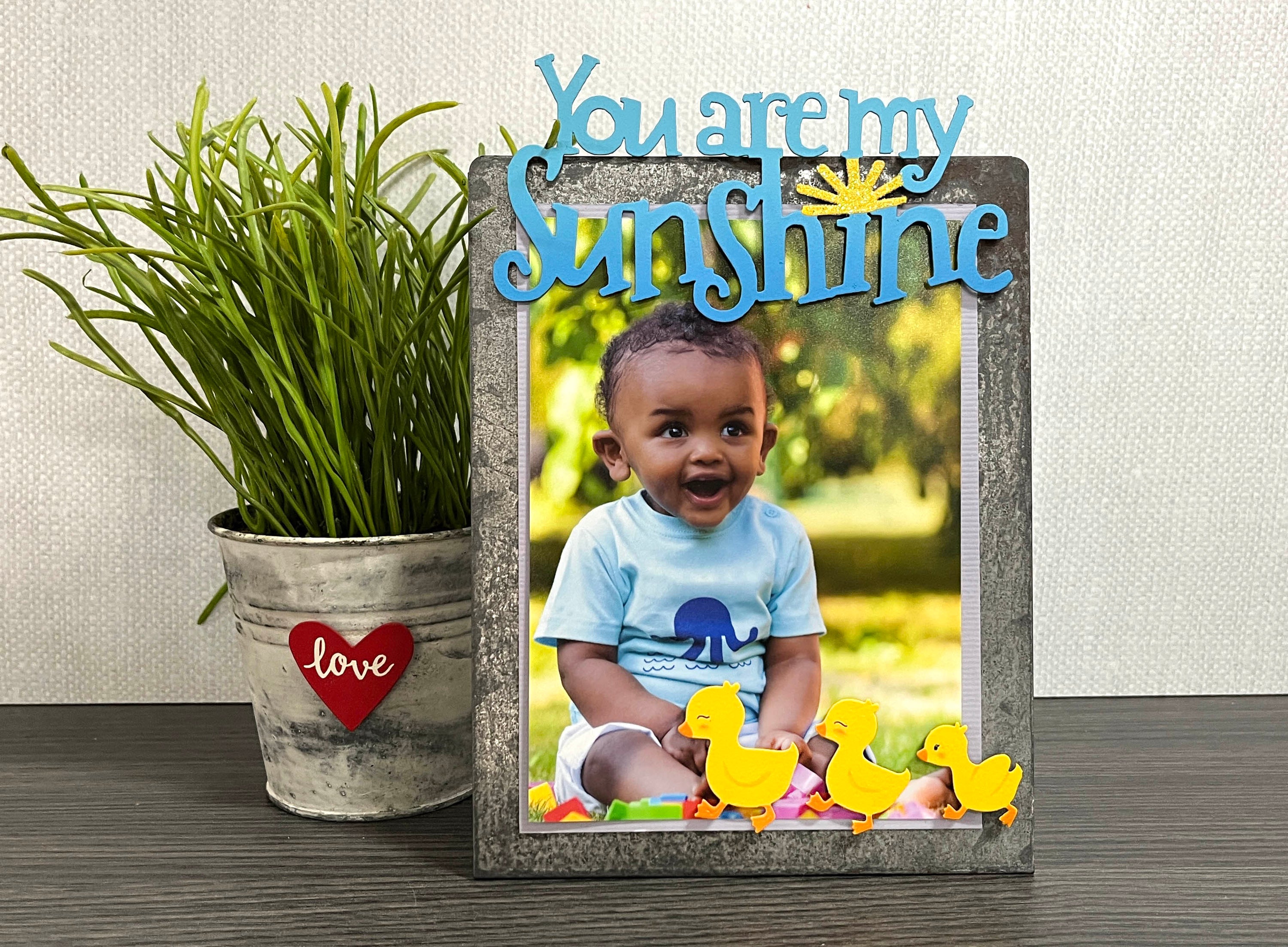 Duckling Magnets S/3