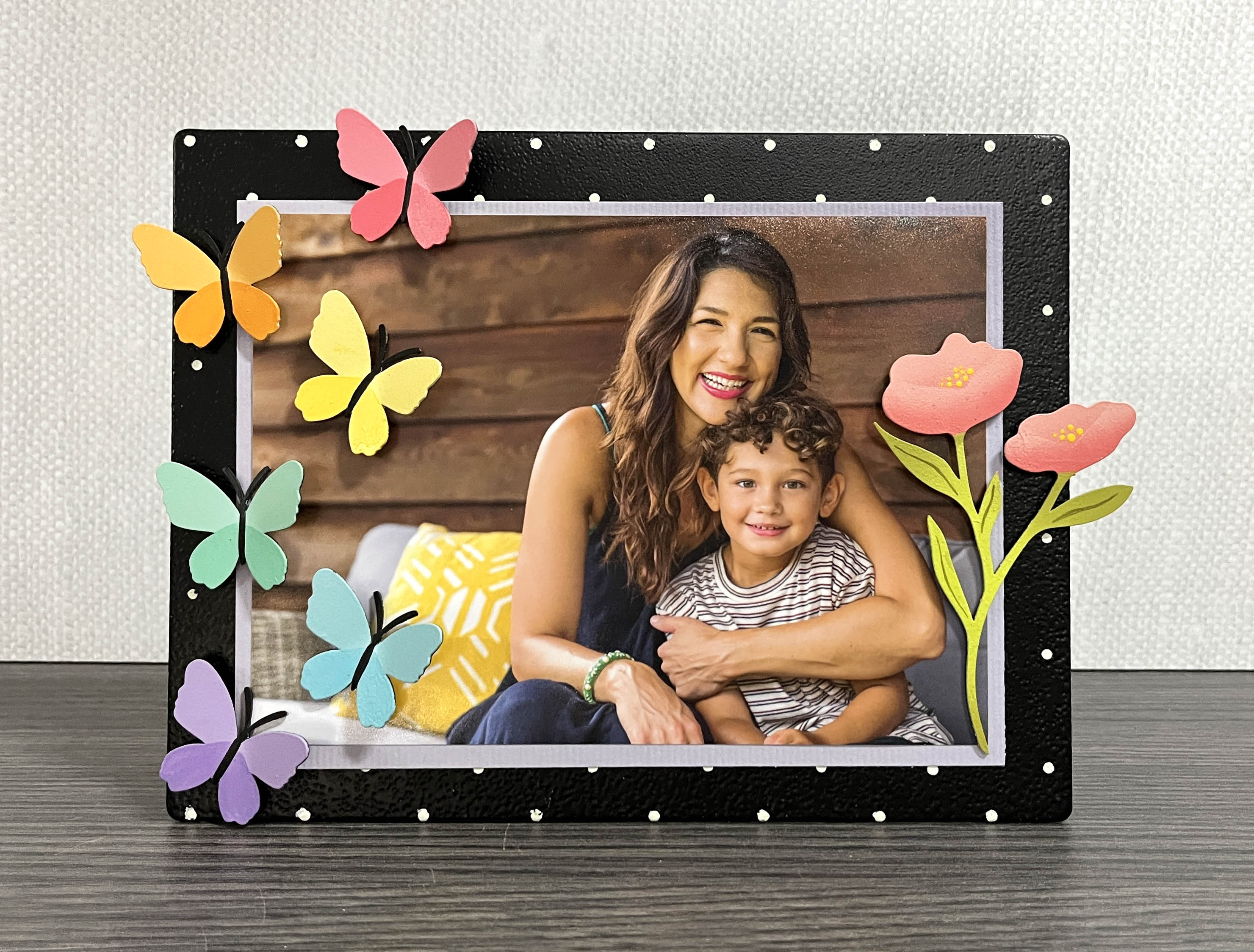 Schmetterlingsmagnete S/6