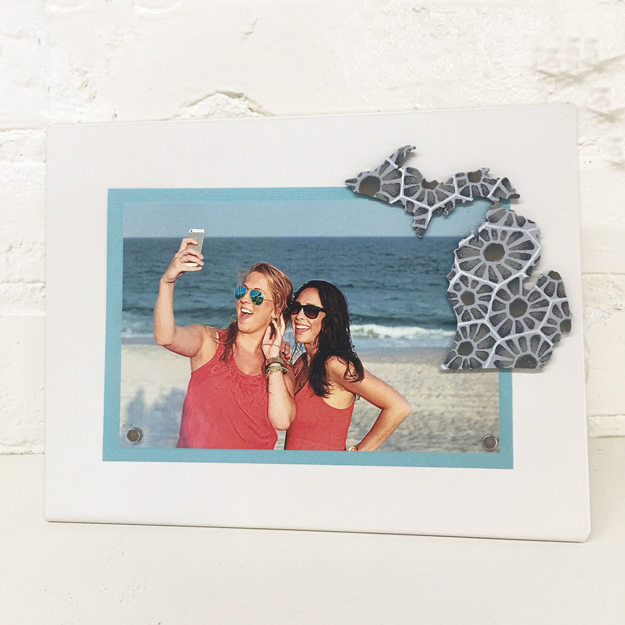 Michigan Petoskey Magnet