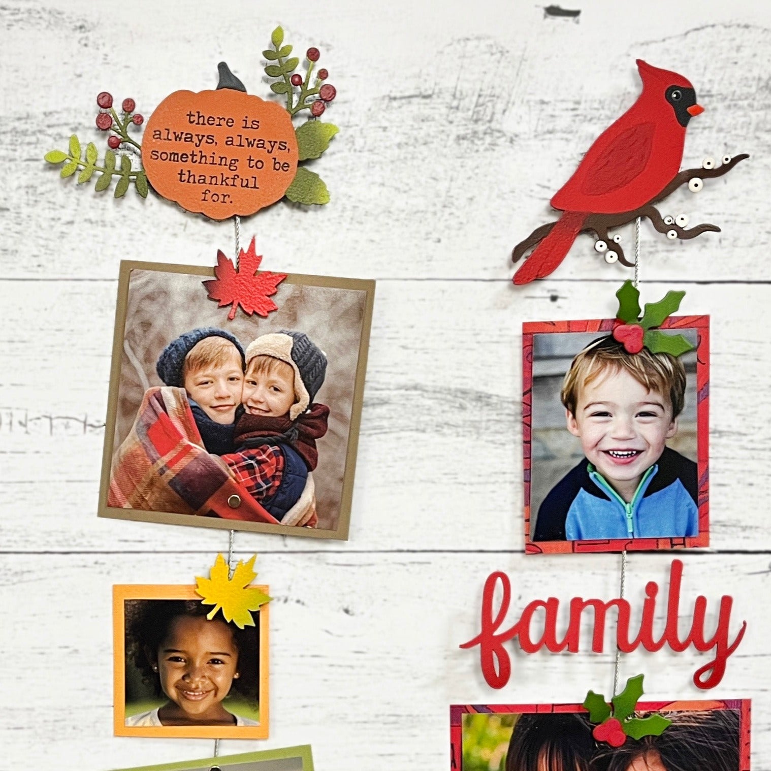 Kardinal auf Holly Branch