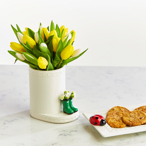 Kleiner Marienkäfer