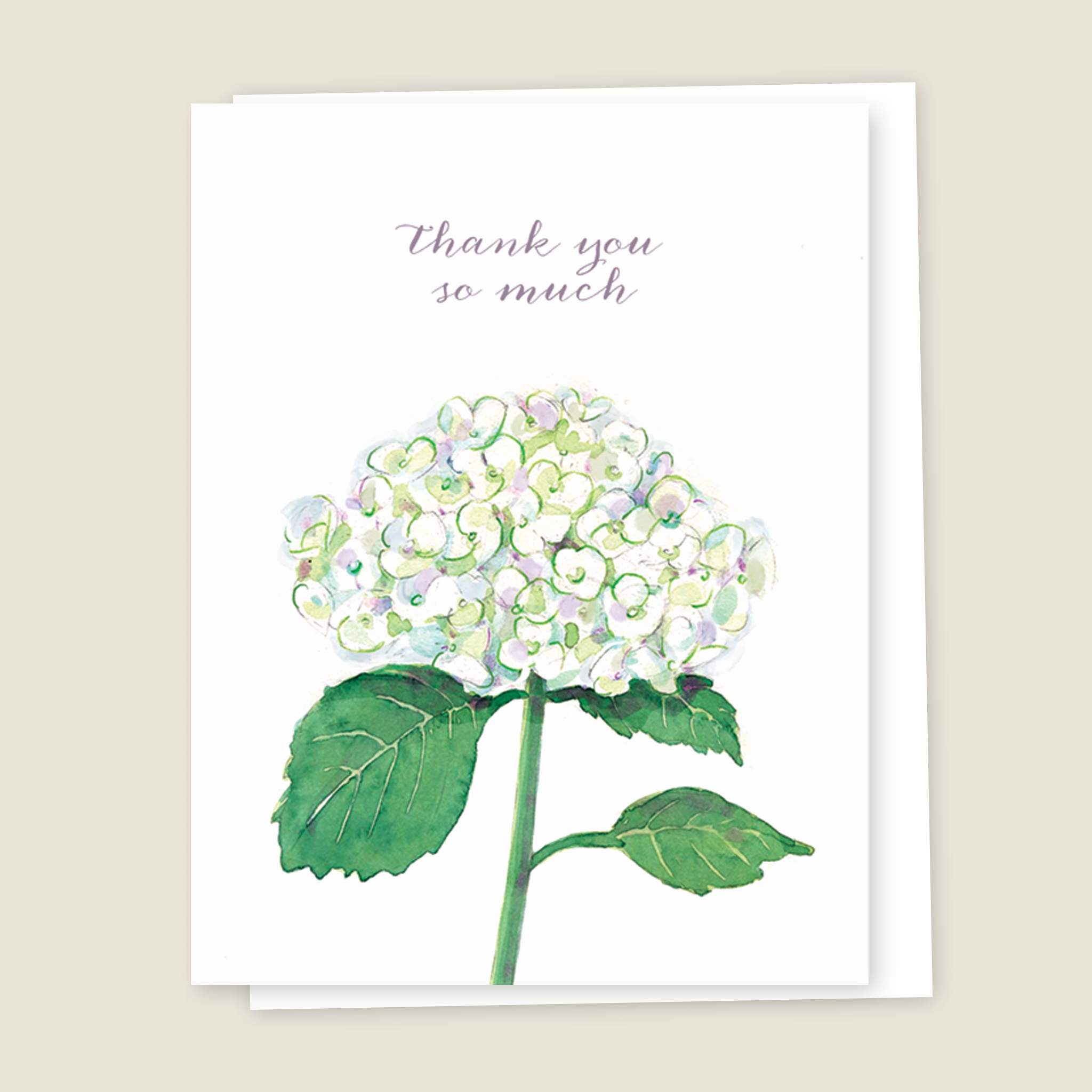 Hydrangea Thank You Card