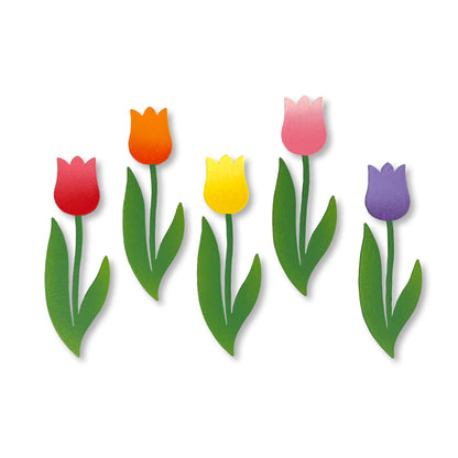 Rainbow Tulip Magnets S/5