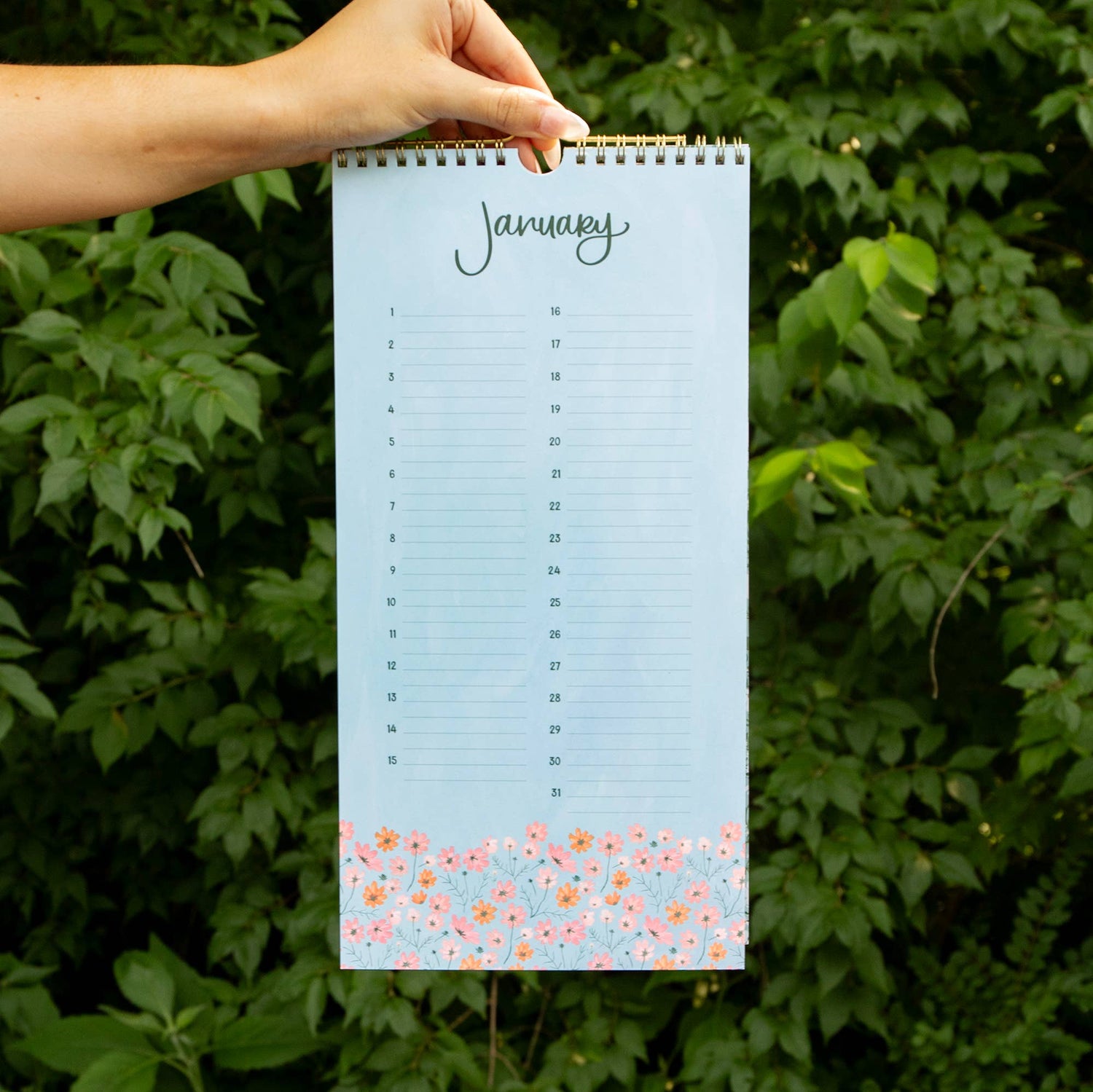 Celebrations by the Month Perpetual Spiral Wall Calendar