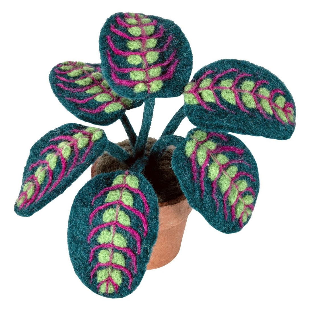 Prayer Plant Felt Plant