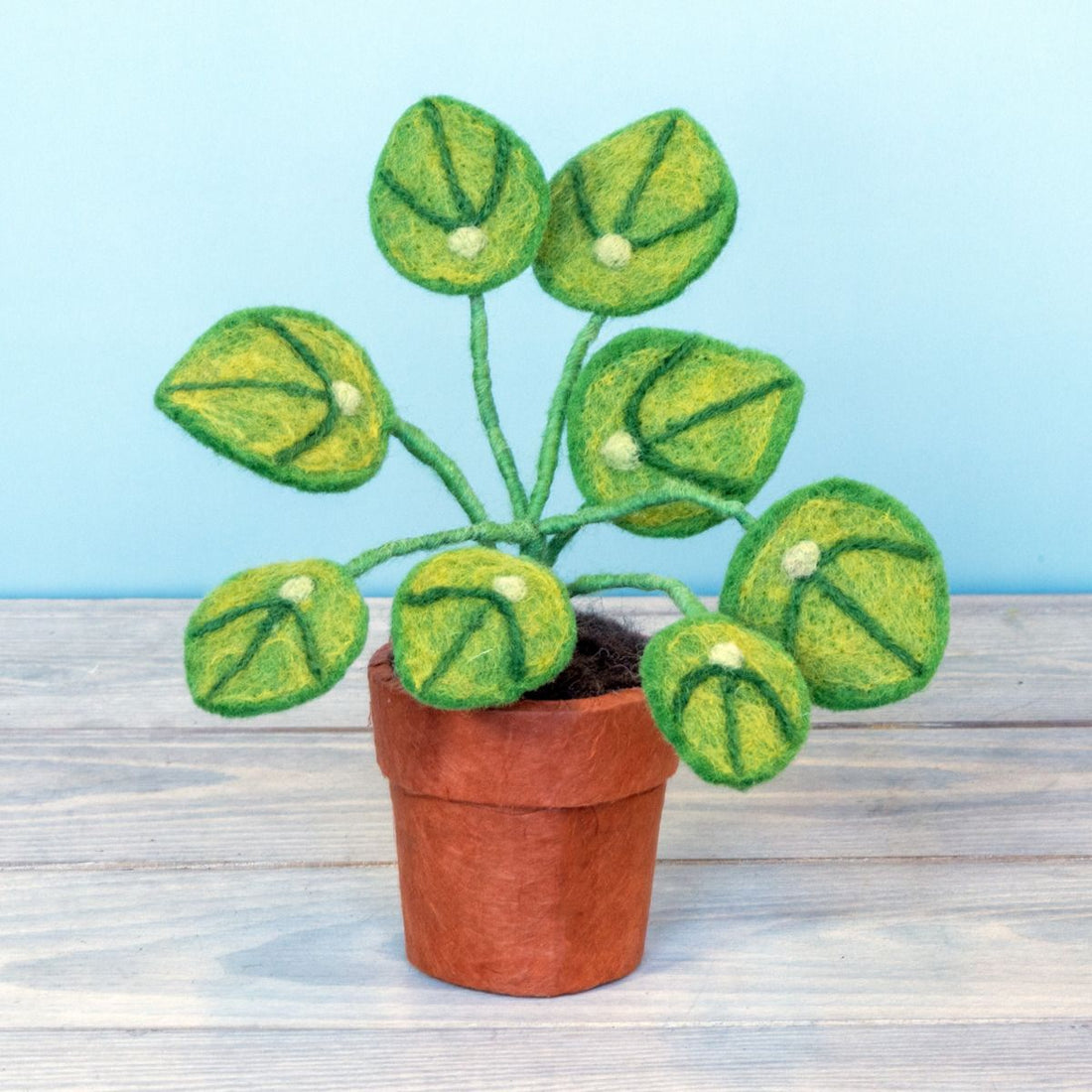 Money Plant Felt Plant