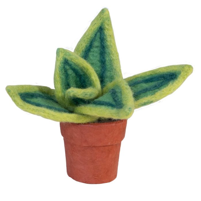 Snake Plant Felt Plant