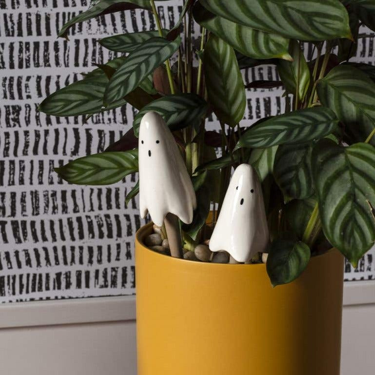 Casper Plant Stick (2 sizes)