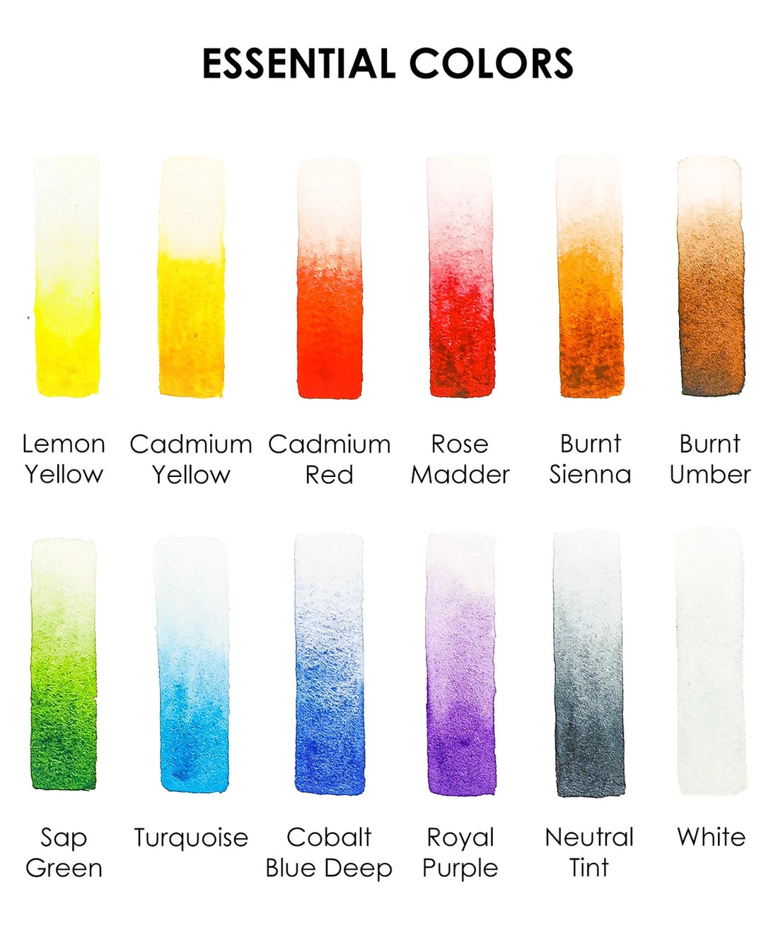 Watercolor Pocket Set of 12 with Brush - Essential Colors