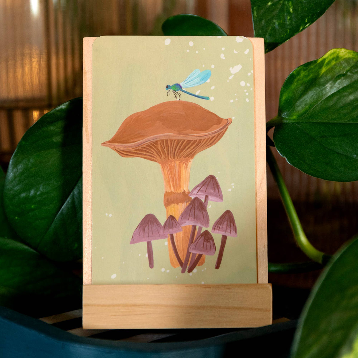 Natural World Inspiration Card Deck + Desktop Display Stand