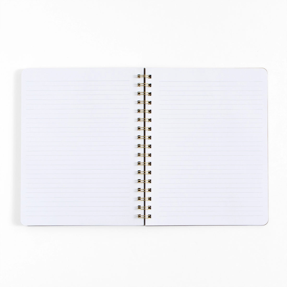 Painted Sky Spiral Notebook