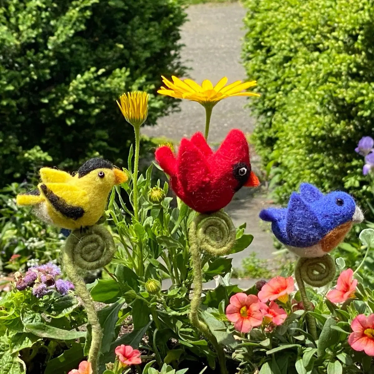 Schmetterlingsblütenornament