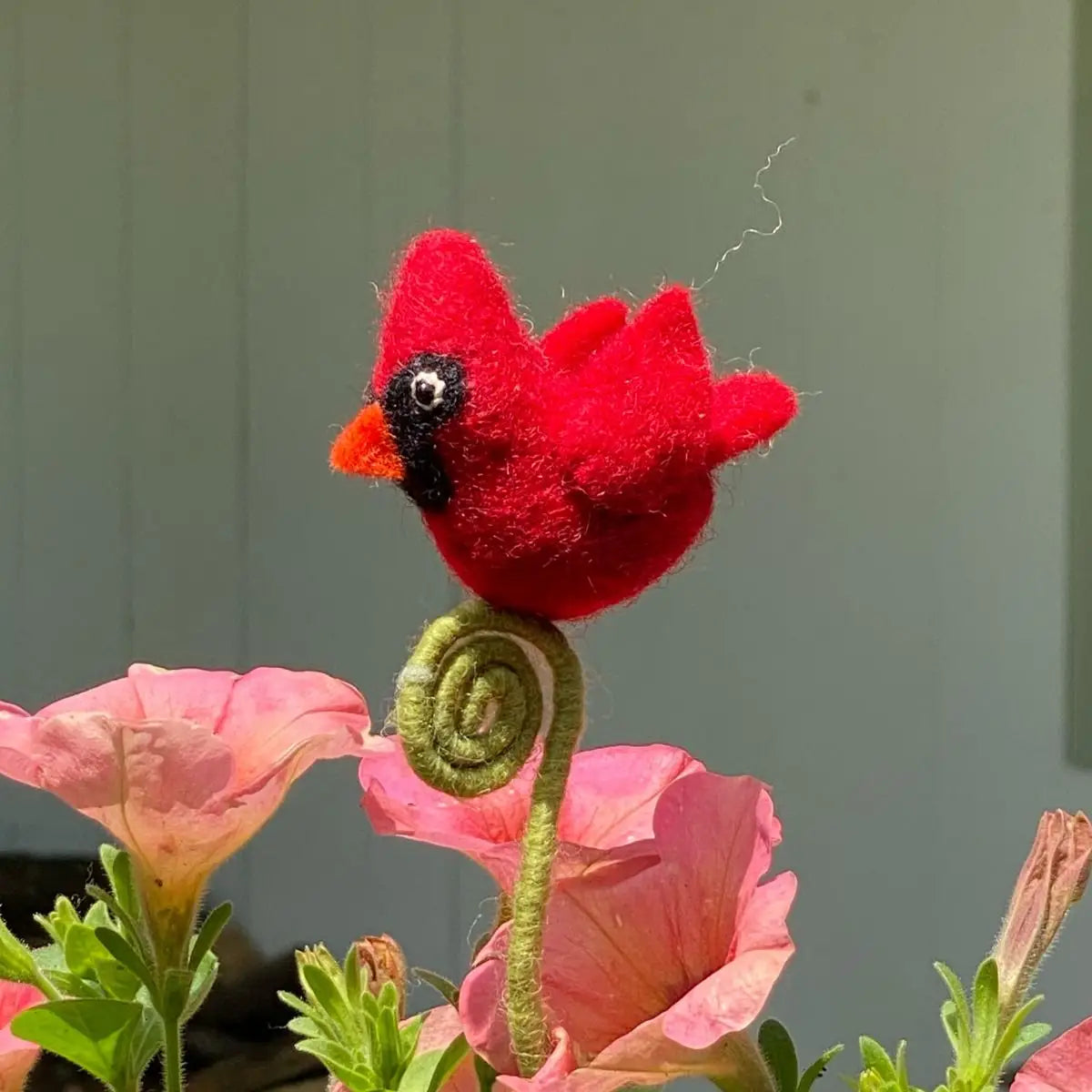 Cardinal Frond Friend