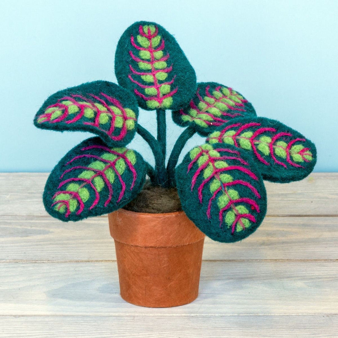 Prayer Plant Felt Plant