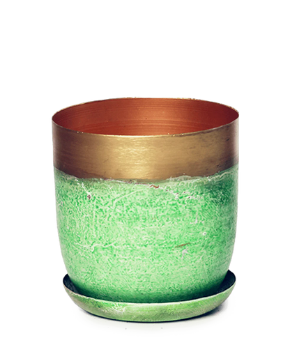 Wandnest-Pflanzgefäß