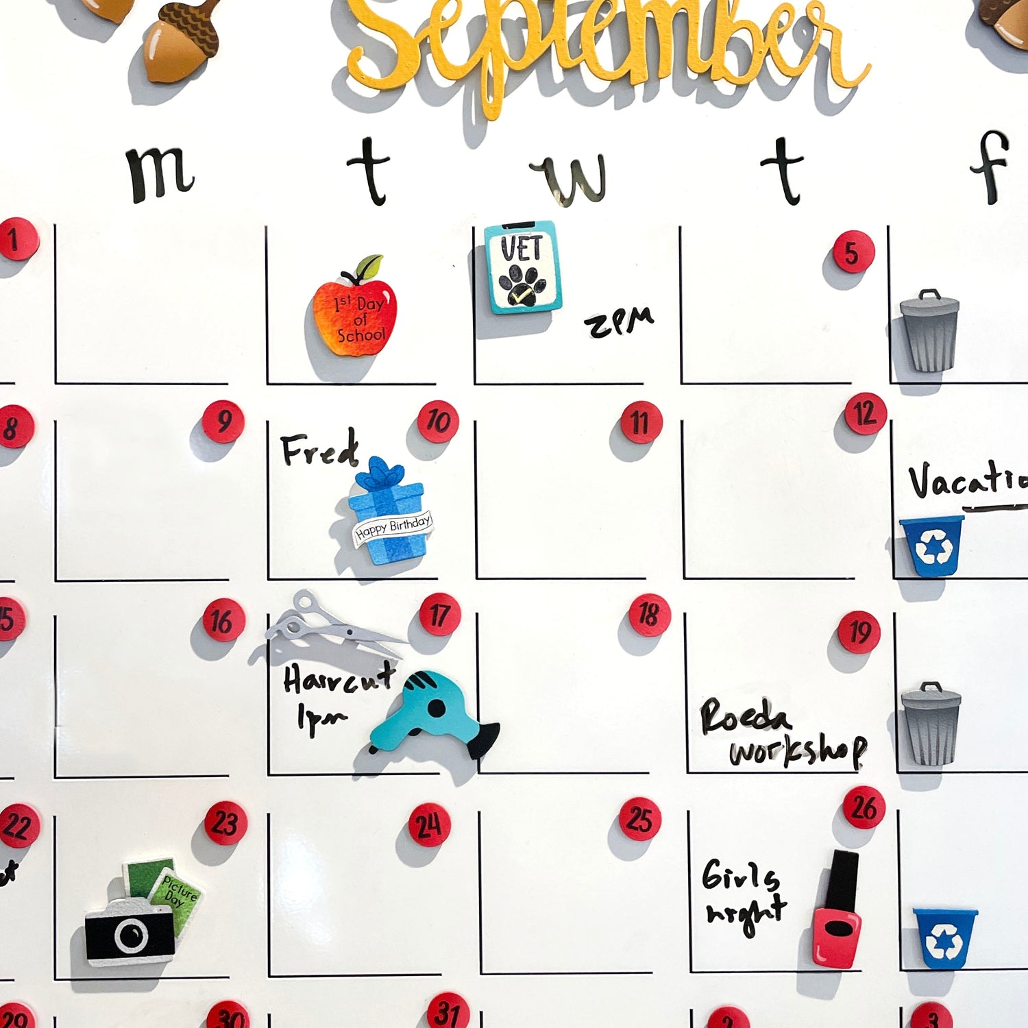 Pet Calendar Magnets S/3