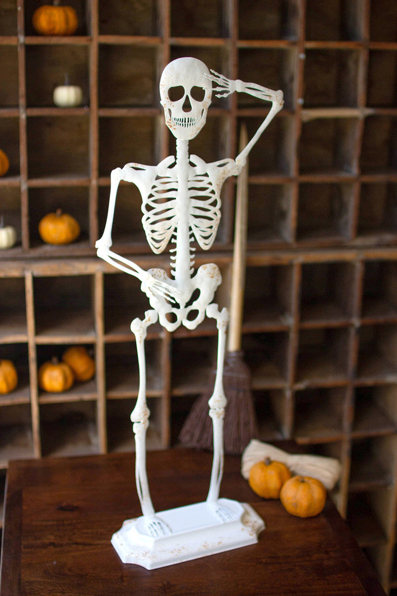 Metal Skeleton on Stand