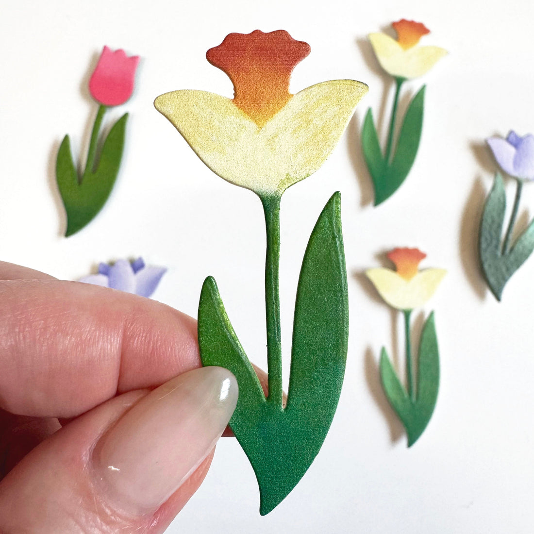 Narzissen-Stielmagnet