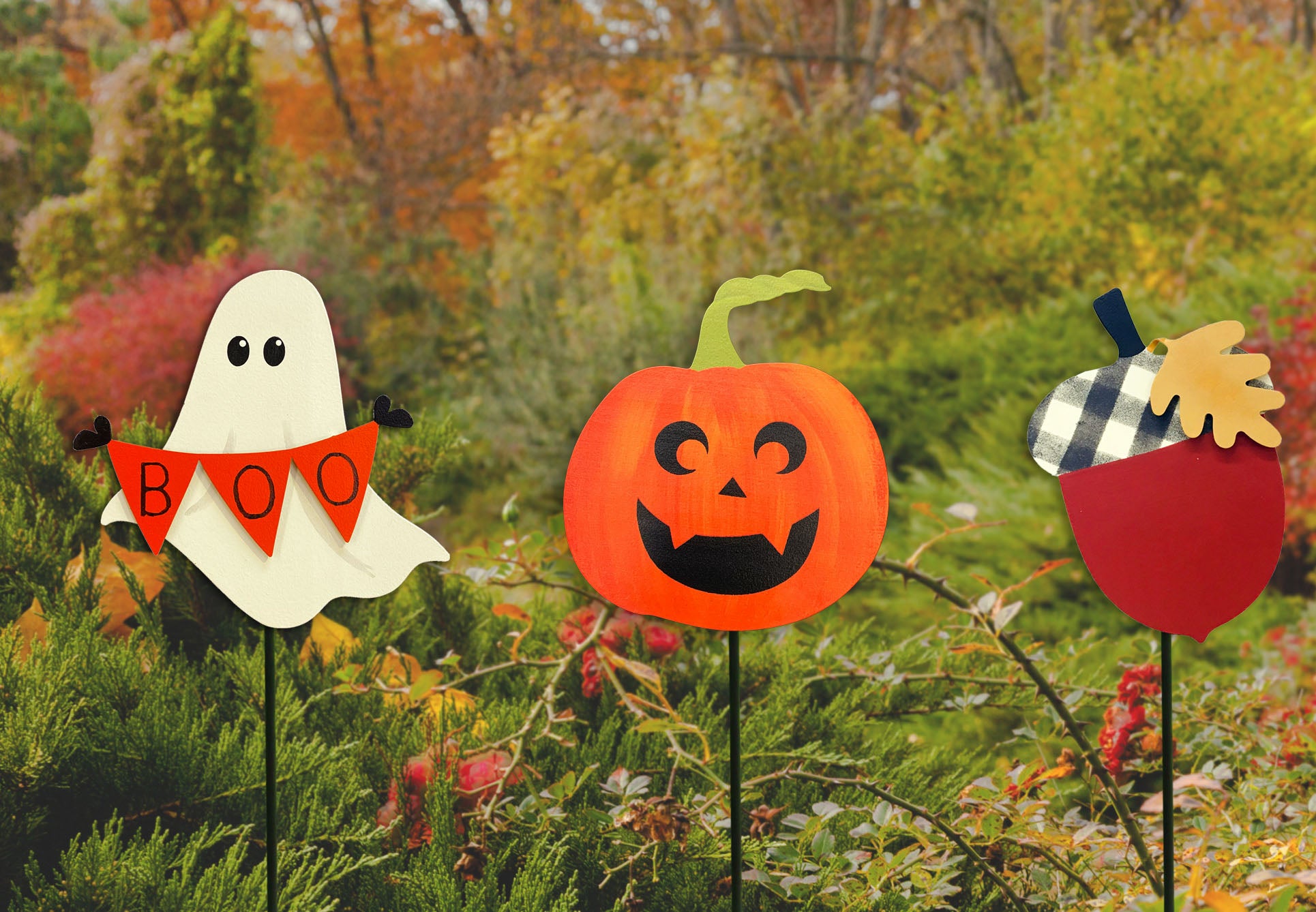 Jack-O&
