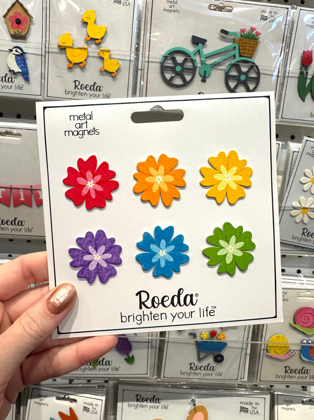 Flower Magnets S/6 Rainbow