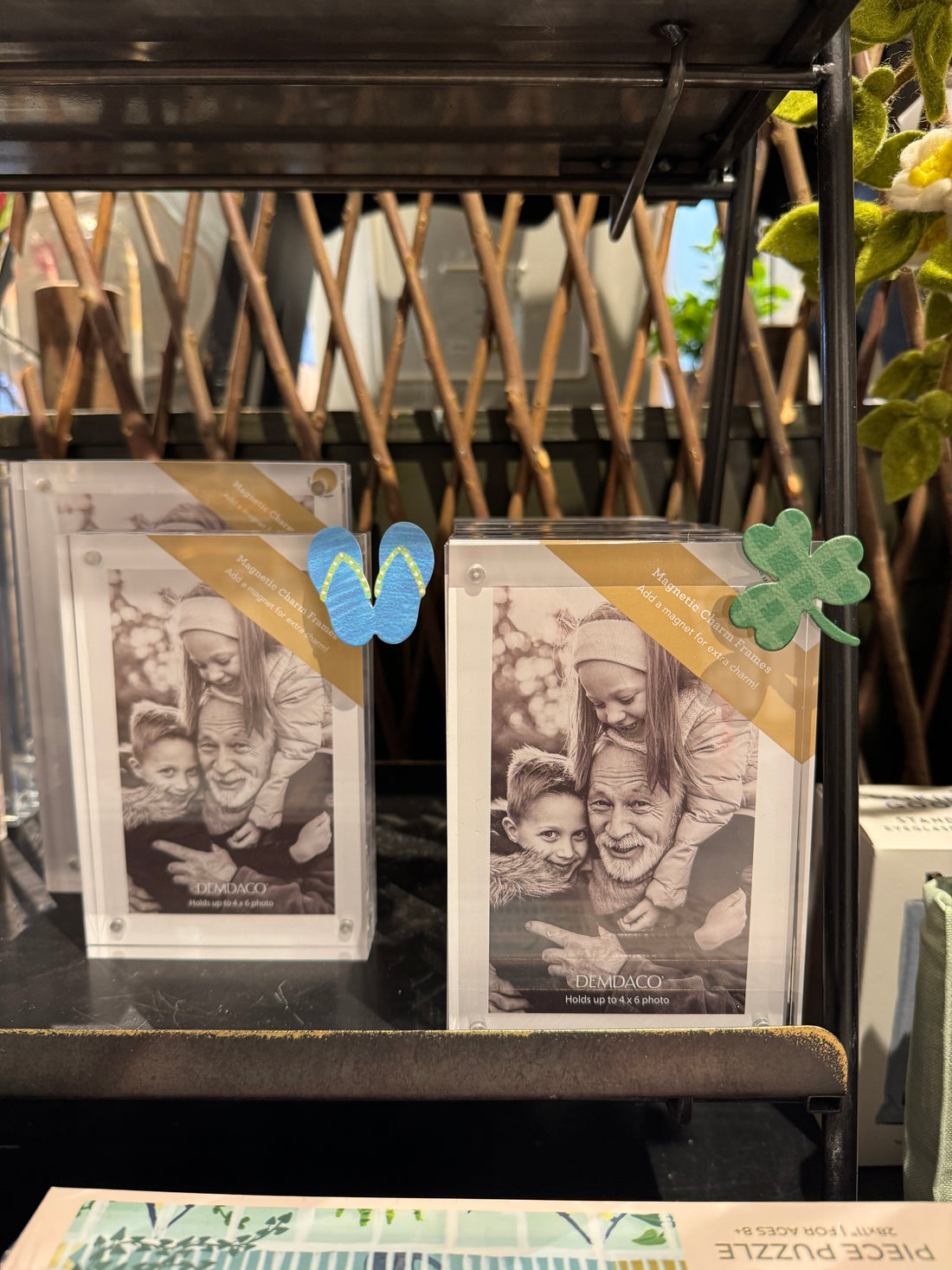 Acrylic Magnetic Frame - 4x6in