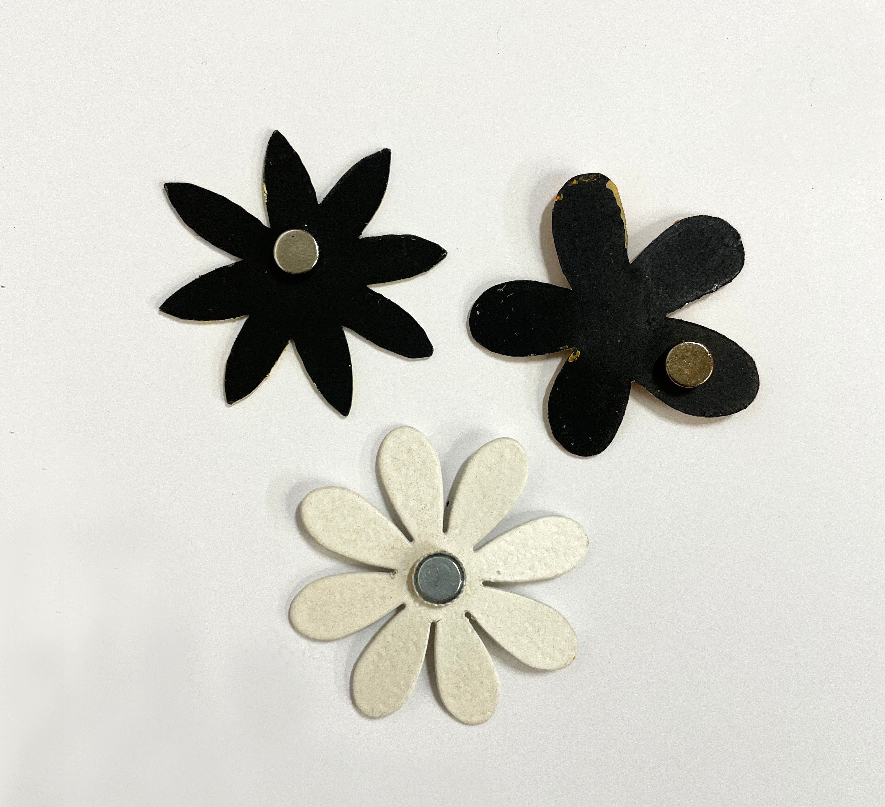 Pack of 6 Magnets, Large